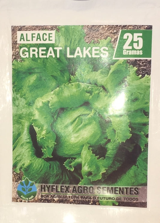 SEMENTE DE ALFACE GREAT LAKES 25GR