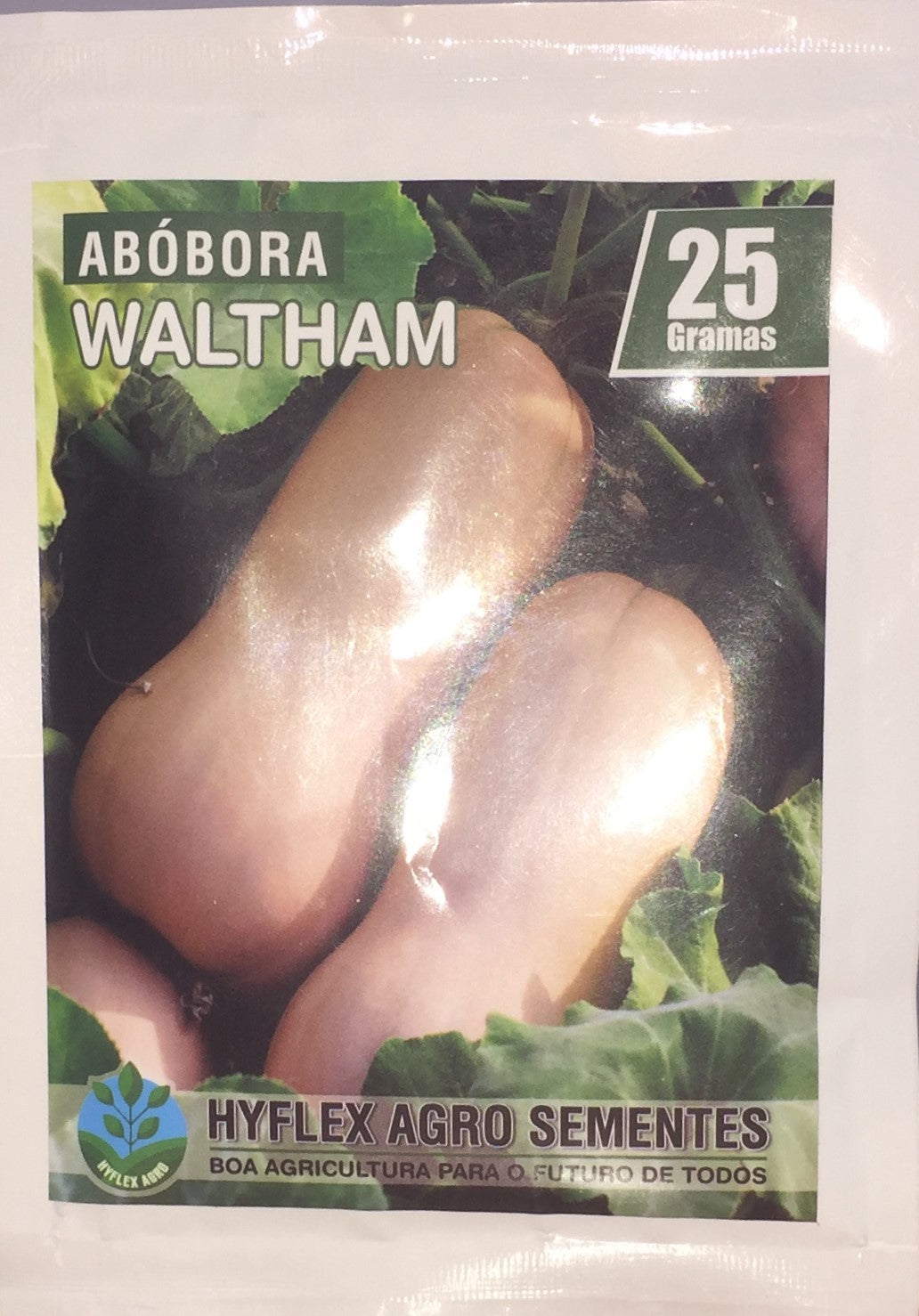 SEMENTE DE ABÓBORA WALTHAM 25G