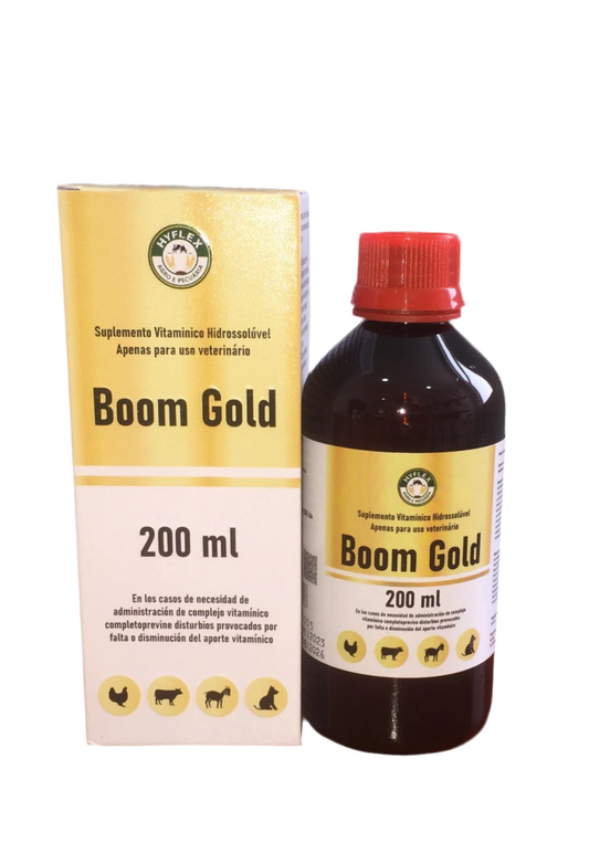 BOOM GOLD SUPLEMENTO VITAMINICO HIDROSOLÚVEL 200ML CX-10