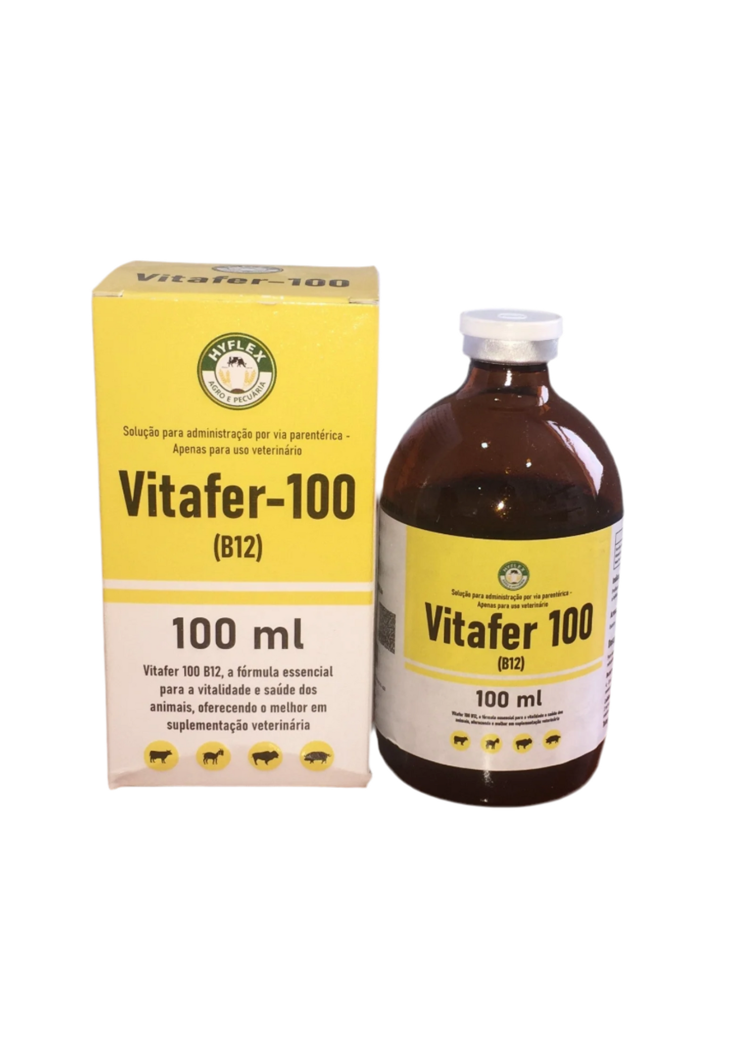 VITAFER-FERRO B12 100ML CX-10